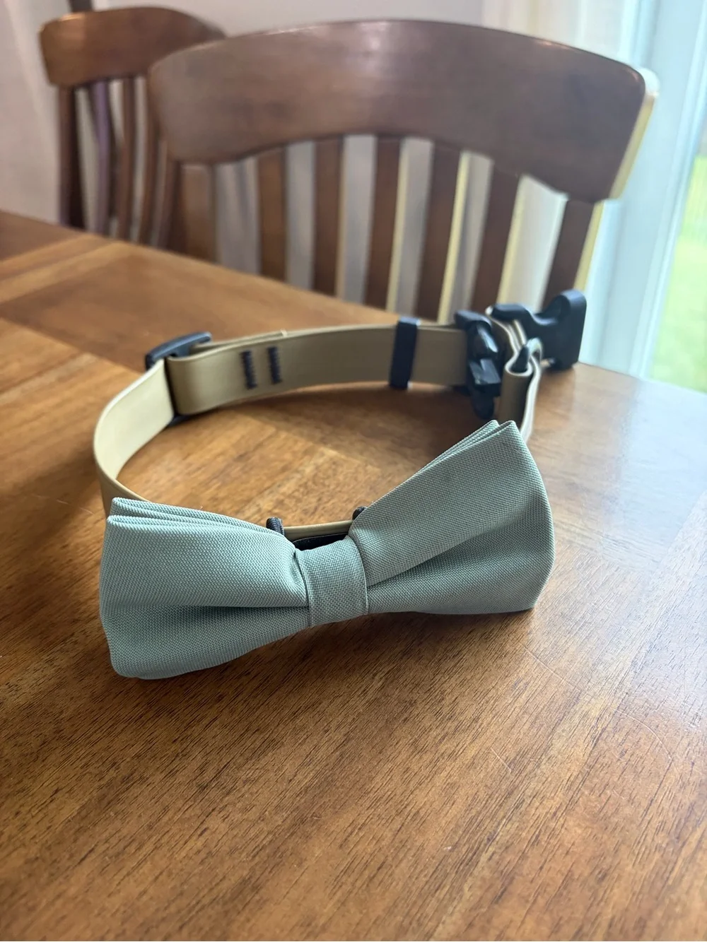 Eucalyptus Bows for Pet Collars